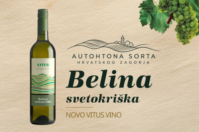 Novo Vitus vino: Belina svetokriška 